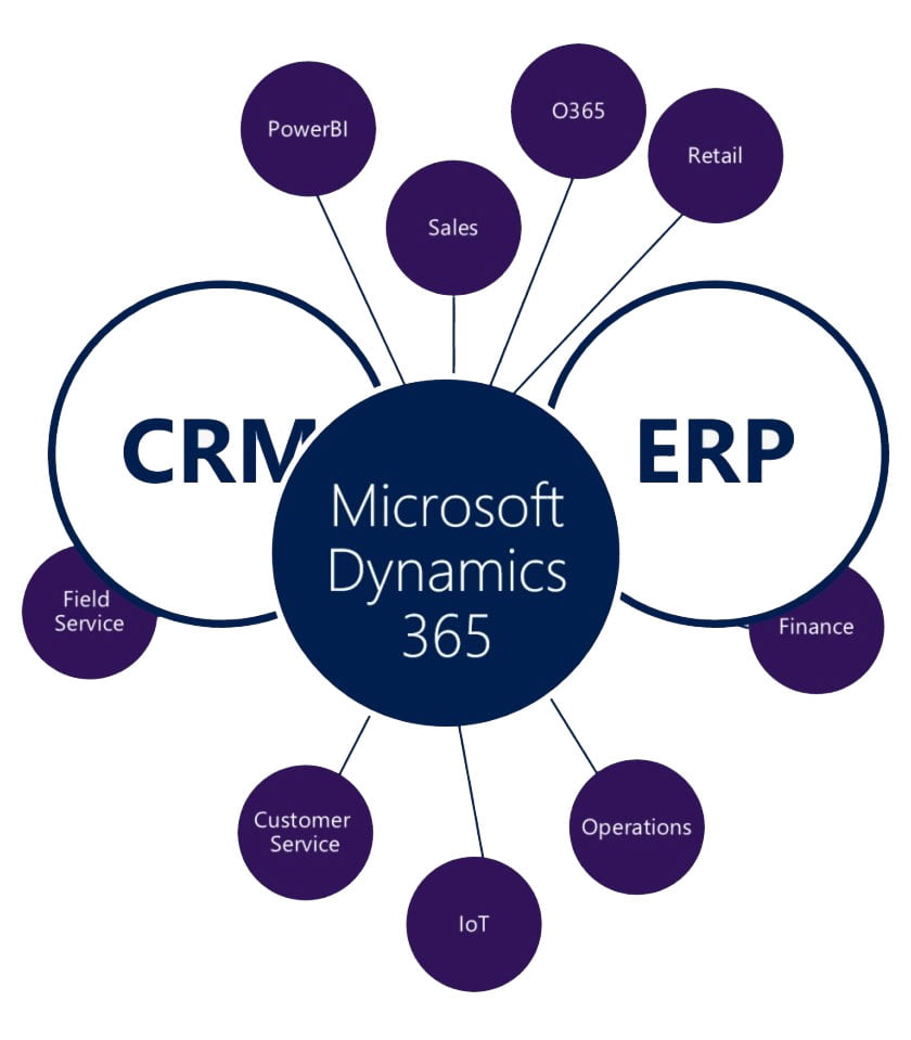 Microsoft Dynamics 365: The CRM Platform that Transforms Business Management